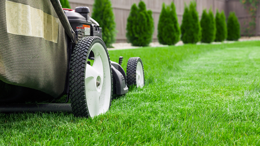 lawn mowing wichita ks